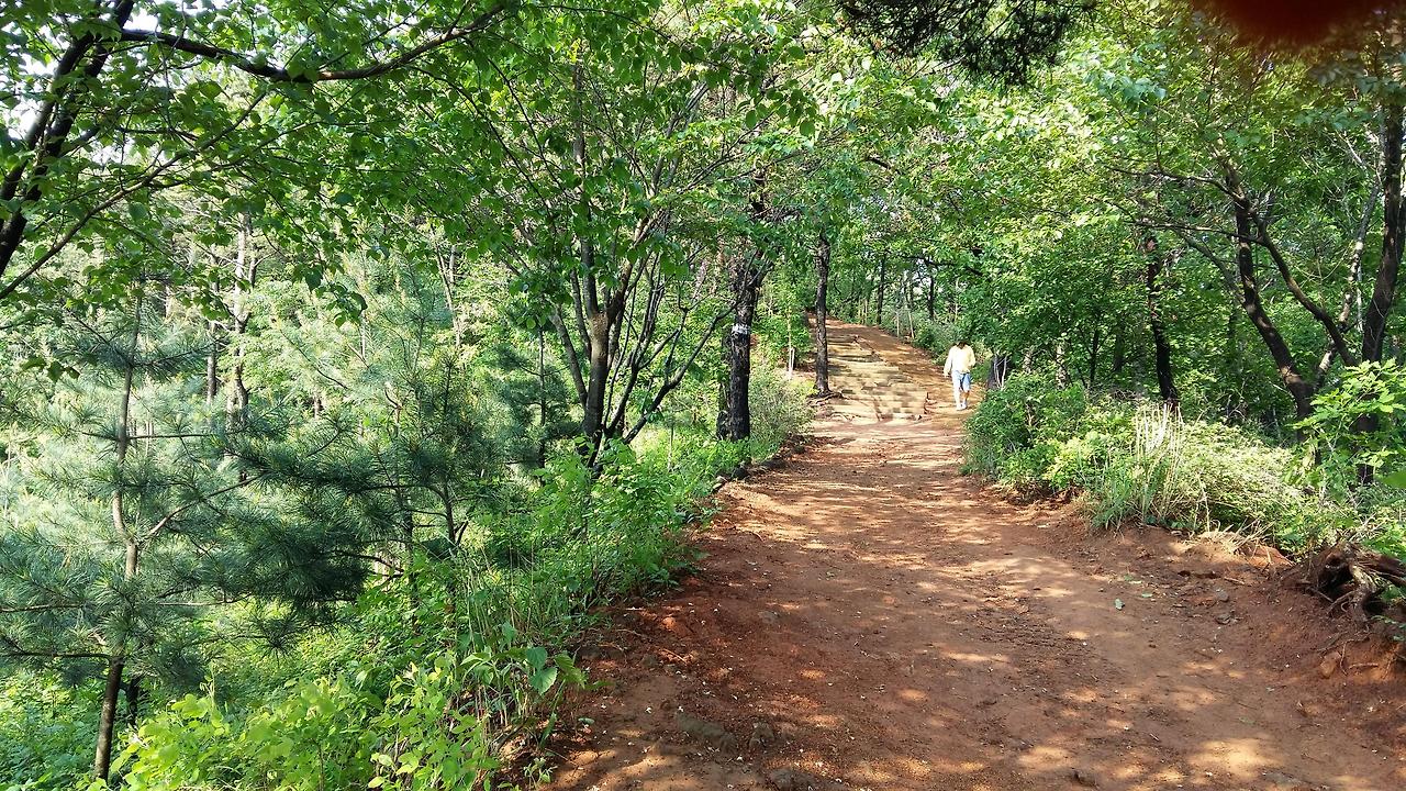 숲길에 들면.jpg