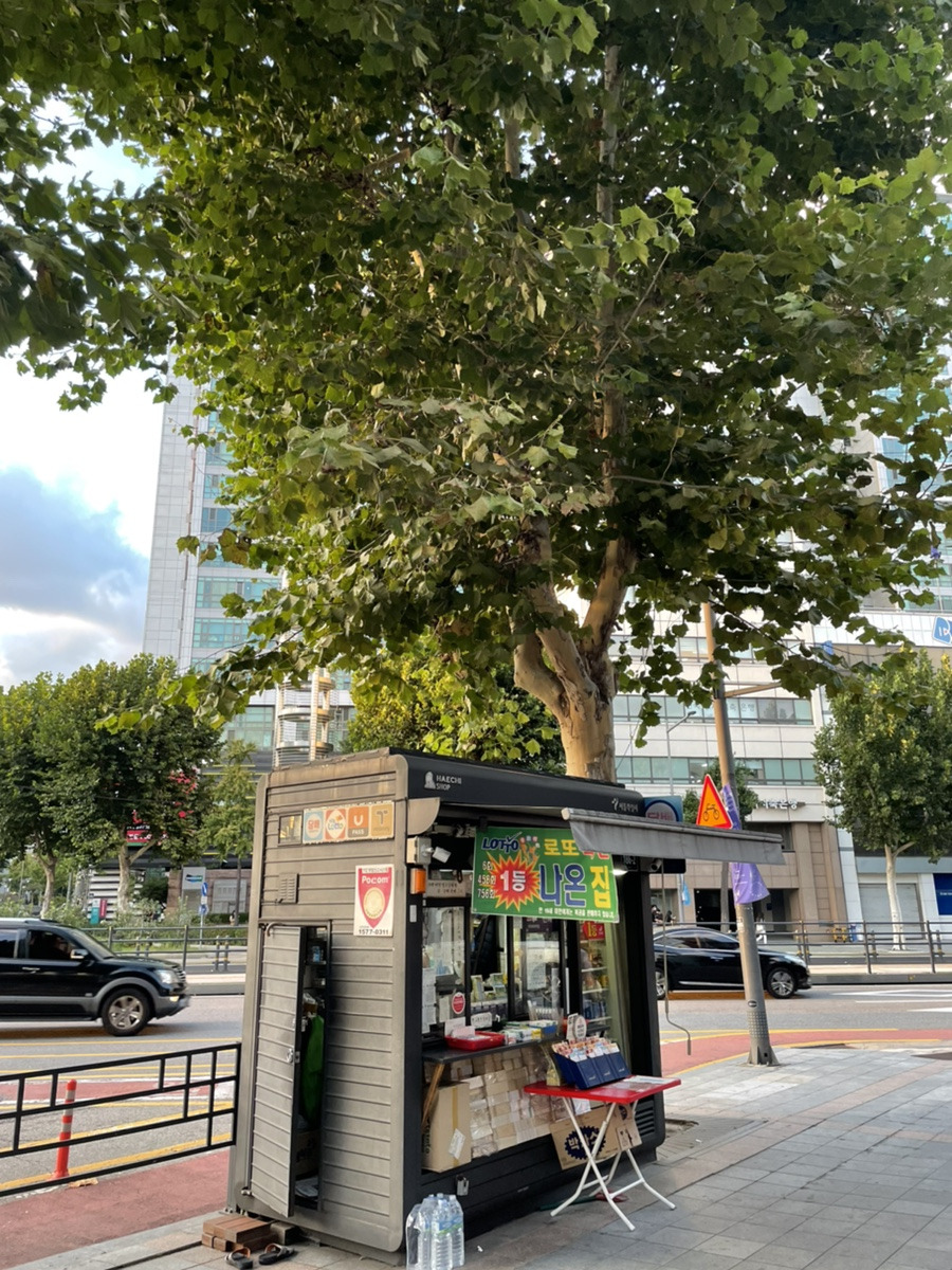 추억하지 않으면 잊혀진다 2.jpg