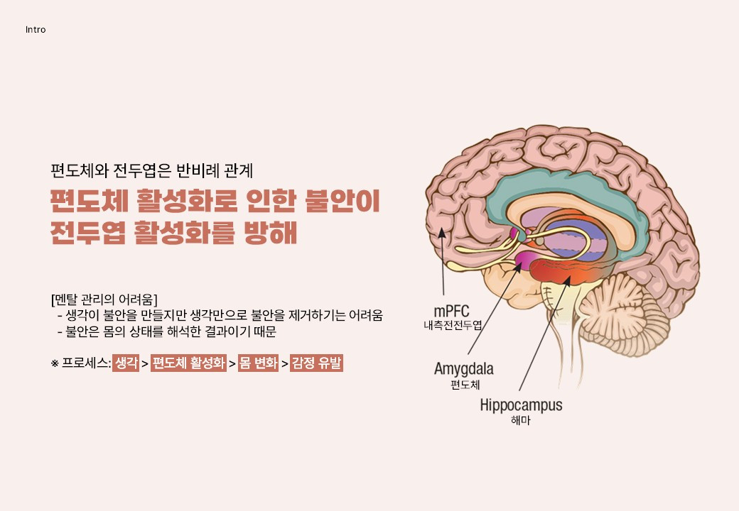 멘탈 관리 매뉴얼_V1.0.jpg