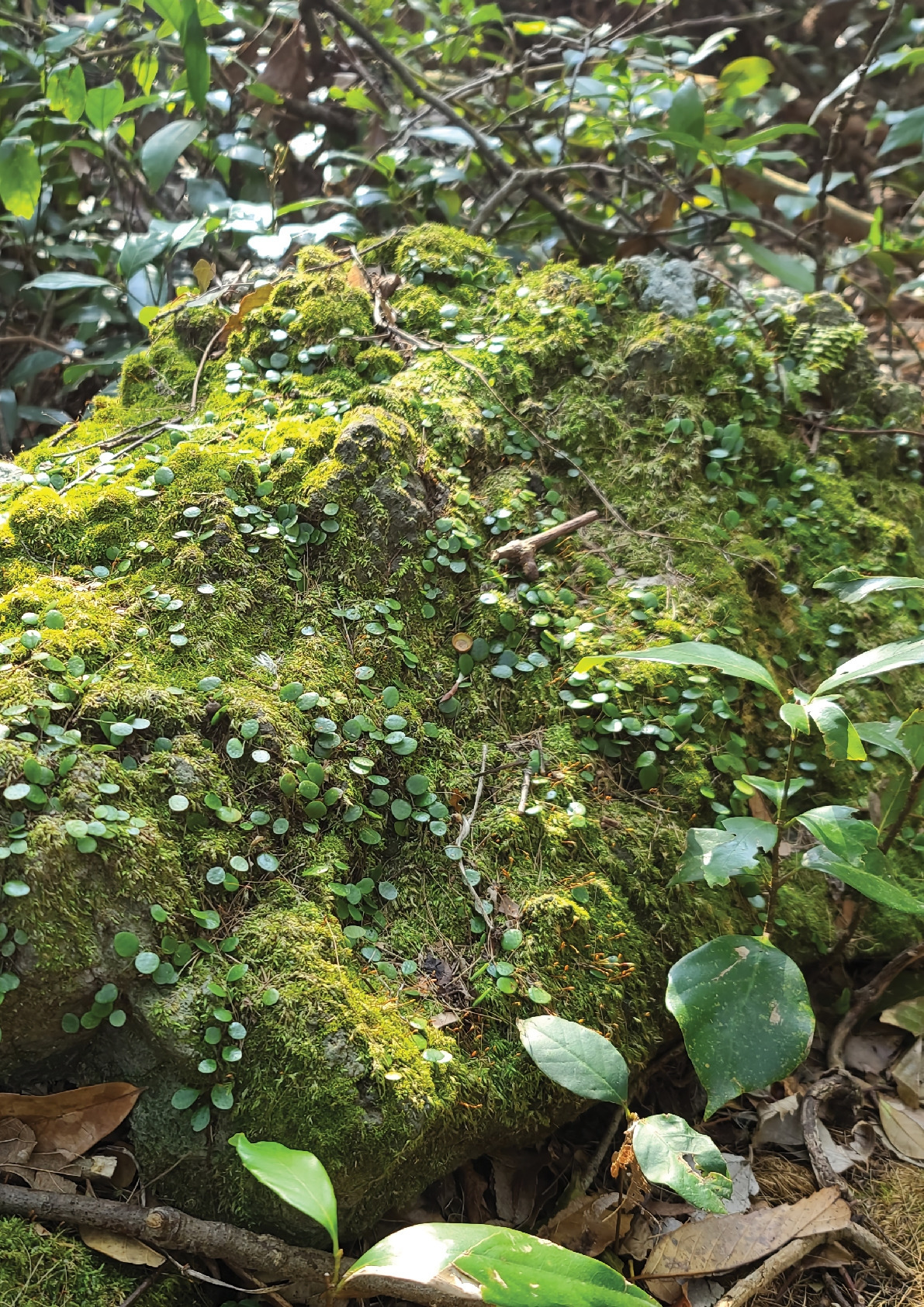 다운로드 (2).jpg