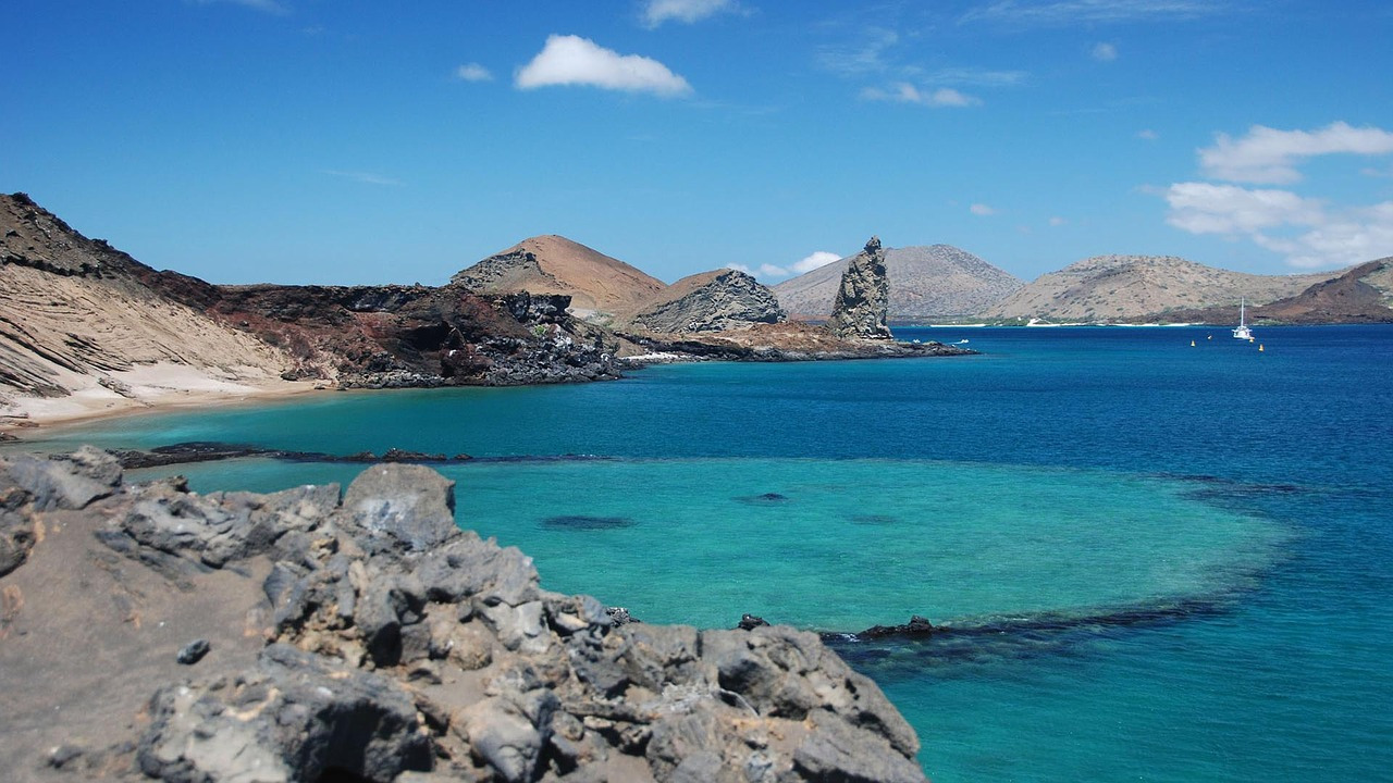 galapagos-2451090_1280.jpg