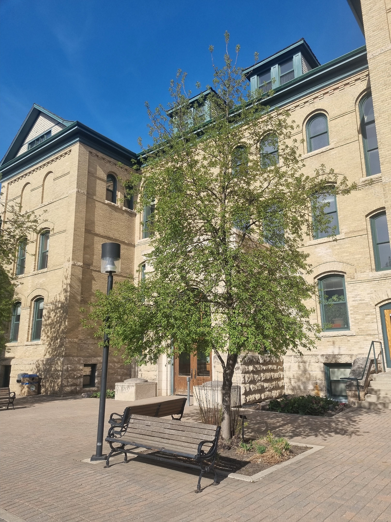 브랜든 대학교.jpg