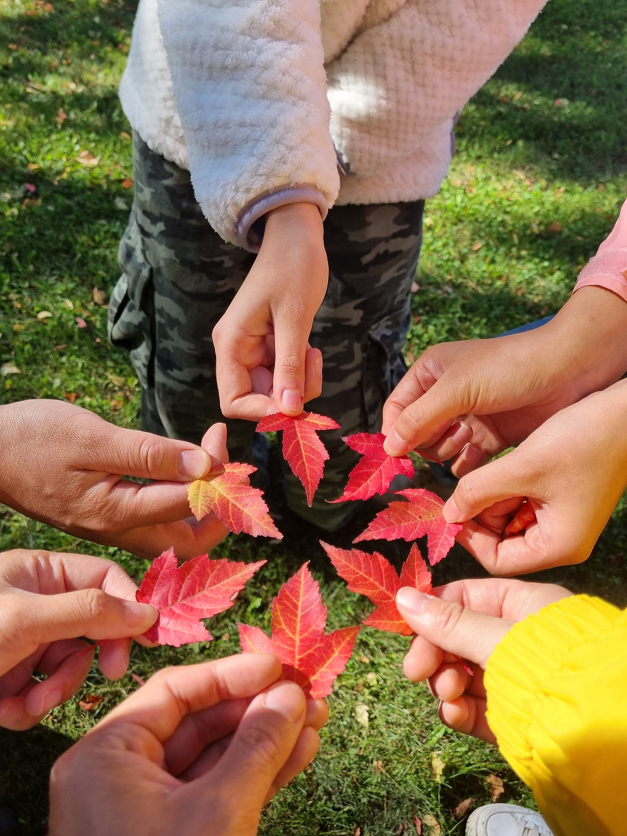 친구들과 단풍 놀이.jpg