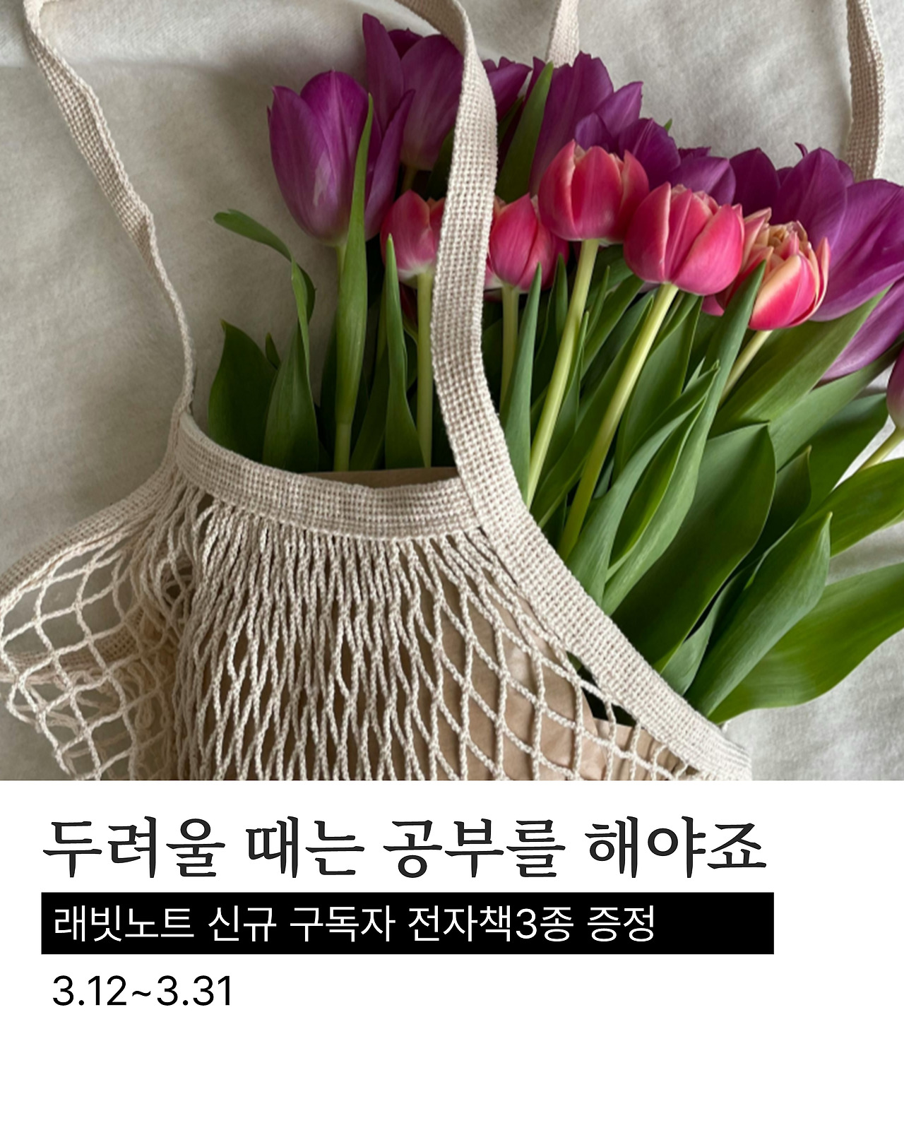 무료 카지노 게임