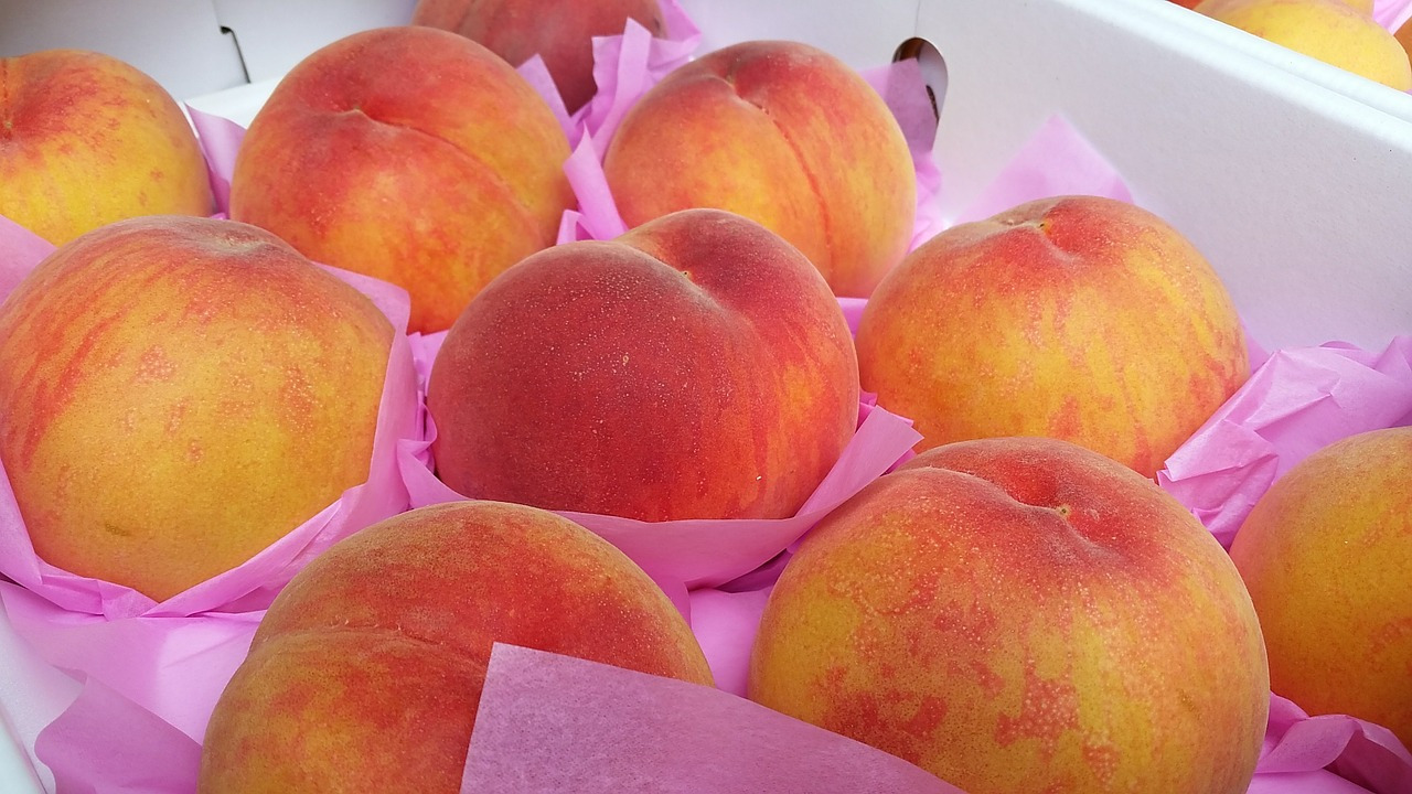 peach-415370_1280.jpg