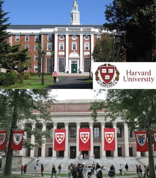 하버드대.jpg