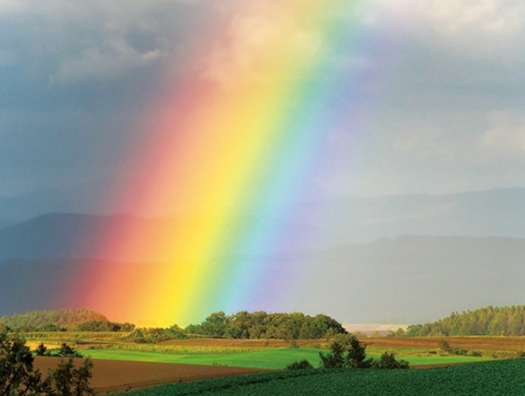 무지개.jpg