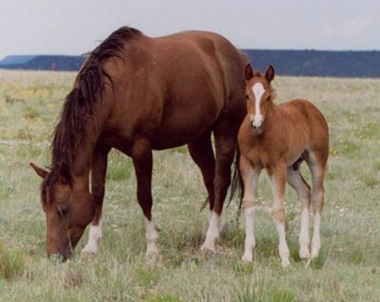 부모와 자식.jpg