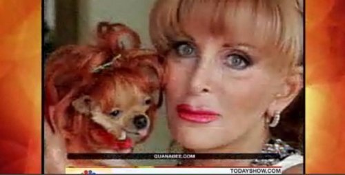 개에게 1천만불 남기다.jpg