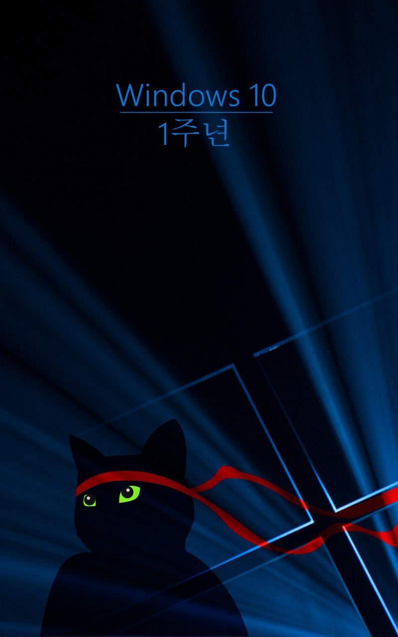 Windows_Insider_Anniversary-Ninjacat-800x1280-ko-KR.jpg