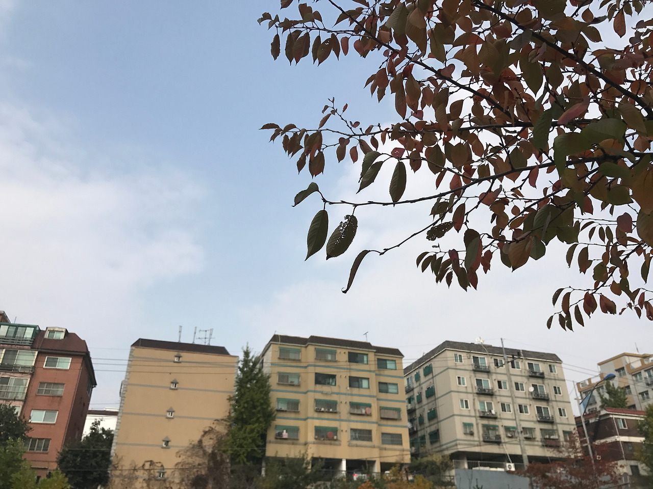 2016-11-04 11.16.06.jpg