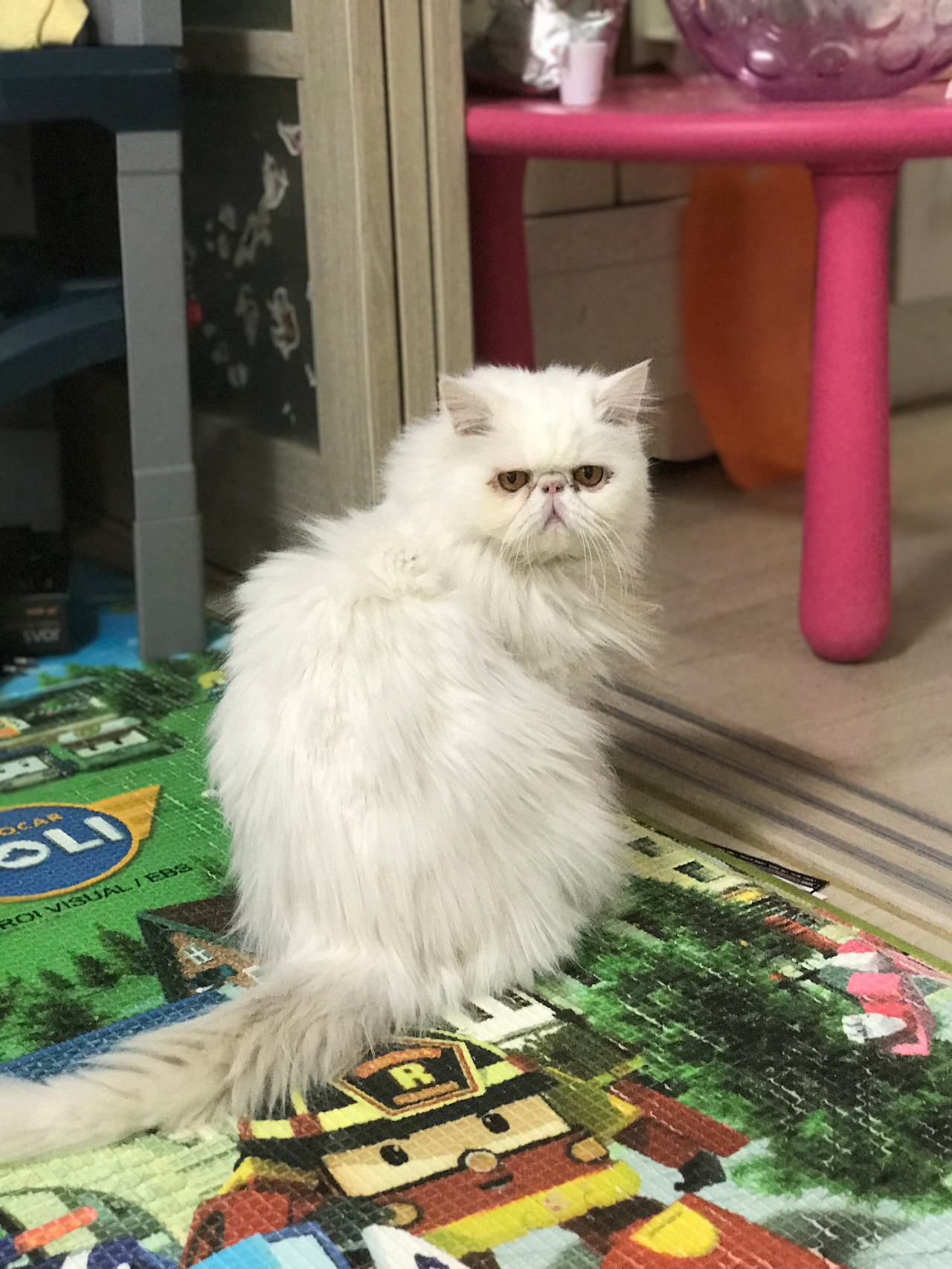 2016-10-30 13.09.53.jpg