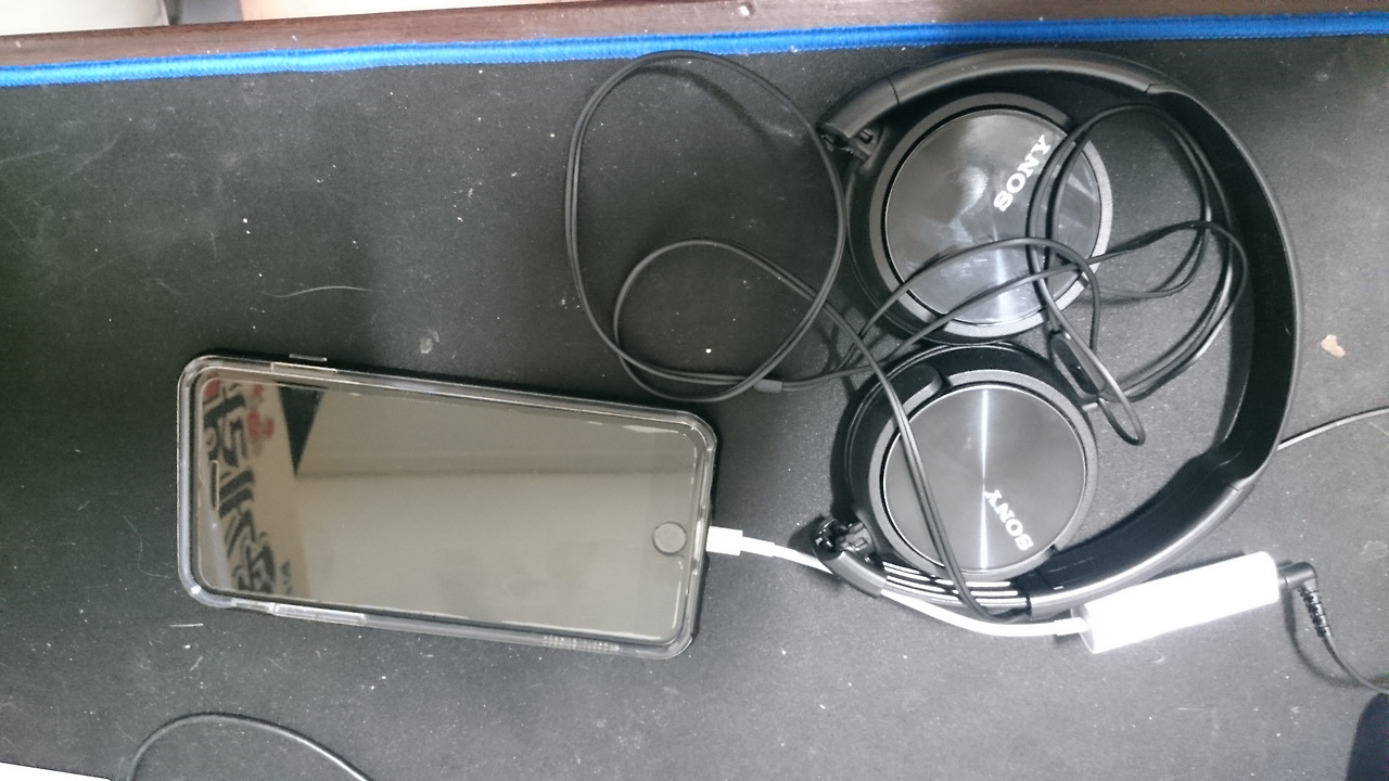 2016-11-25 05.55.10.jpg