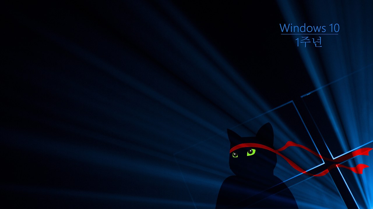 Windows_Insider_Anniversary-Ninjacat-3840x2160-4K-ko-KR.jpg