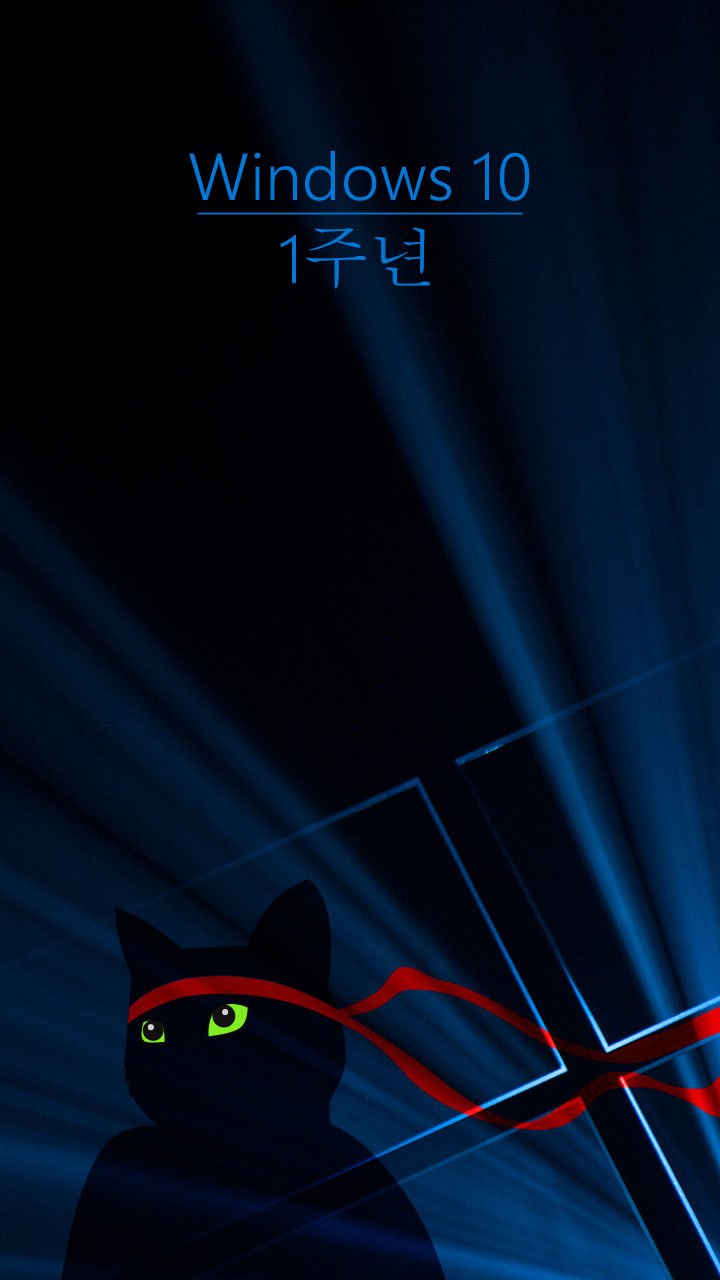 Windows_Insider_Anniversary-Ninjacat-720x1280-Phone-ko-KR.jpg