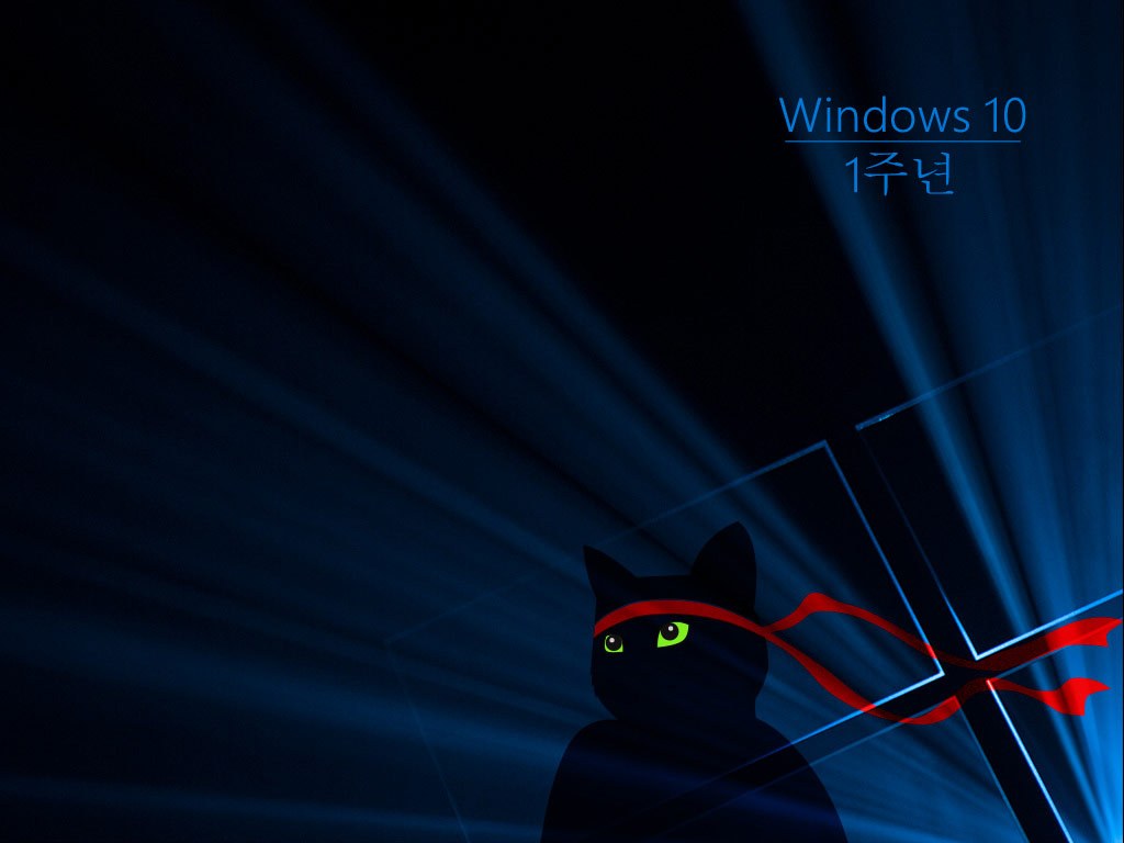 Windows_Insider_Anniversary-Ninjacat-1024x768-ko-KR.jpg