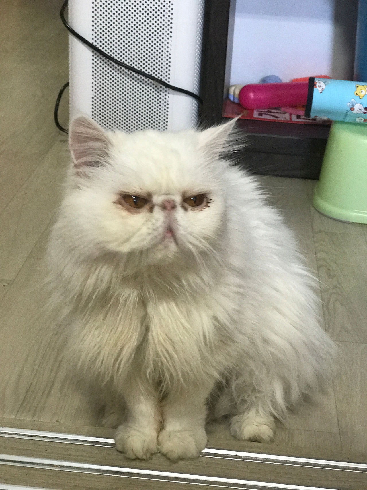 2016-10-30 11.54.13-1.jpg