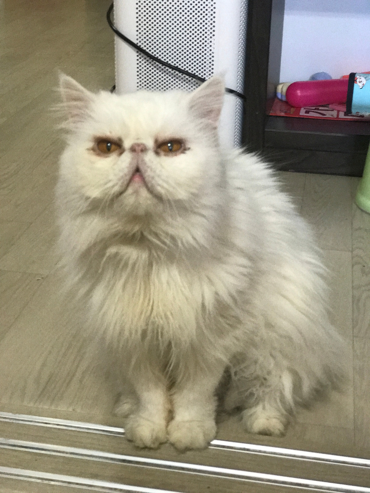 2016-10-30 11.54.06-1.jpg