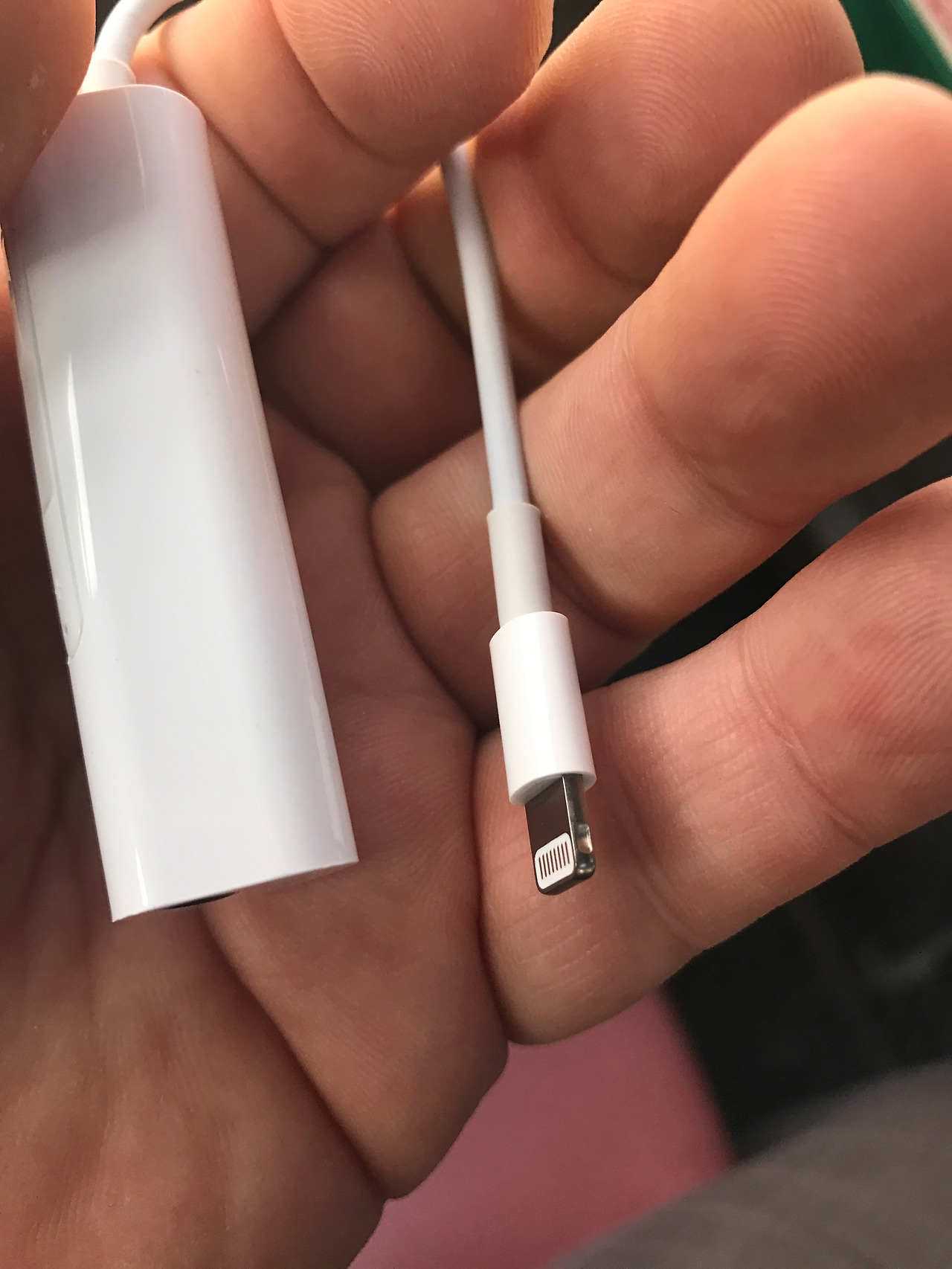 2016-11-23 10.38.22.jpg