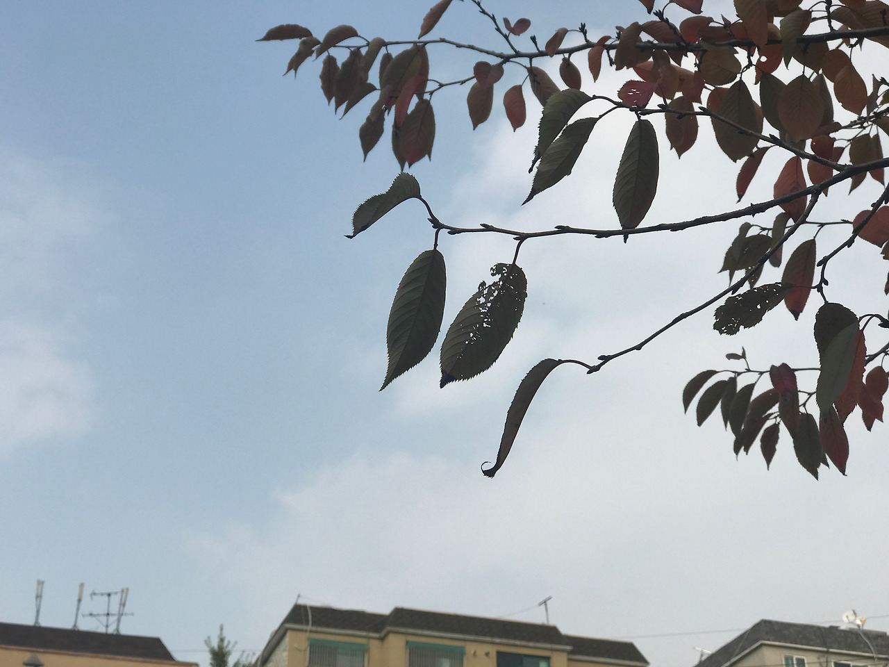 2016-11-04 11.16.03.jpg