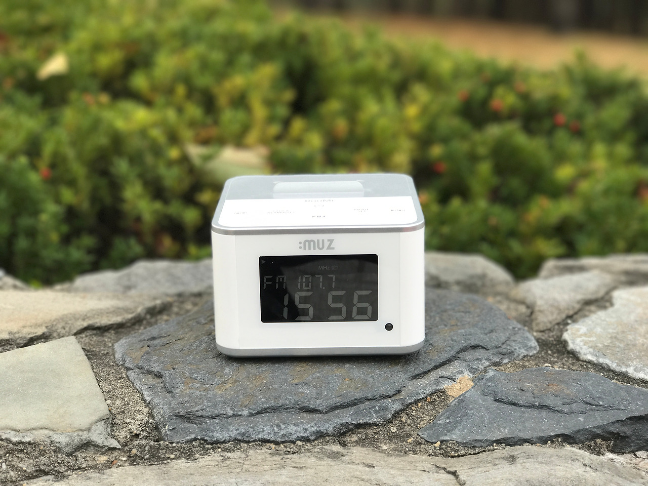 2016-11-05 15.57.10.jpg