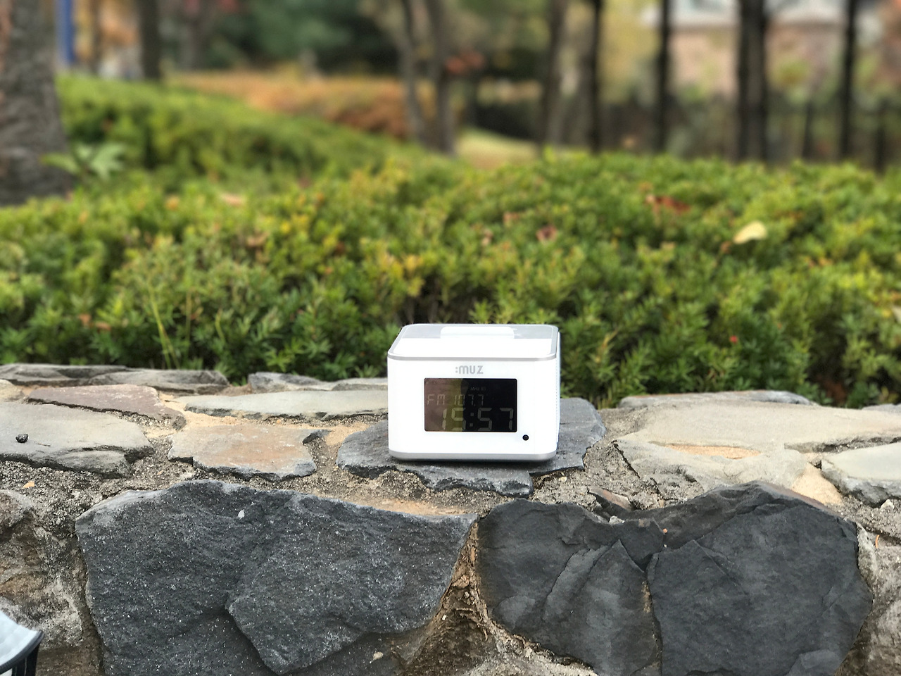 2016-11-05 15.57.52.jpg