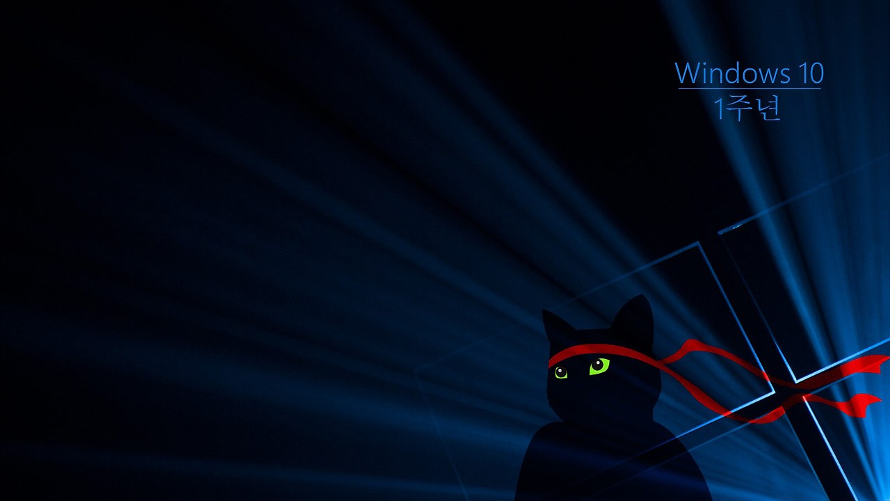 Windows_Insider_Anniversary-Ninjacat-1600x900-ko-KR.jpg
