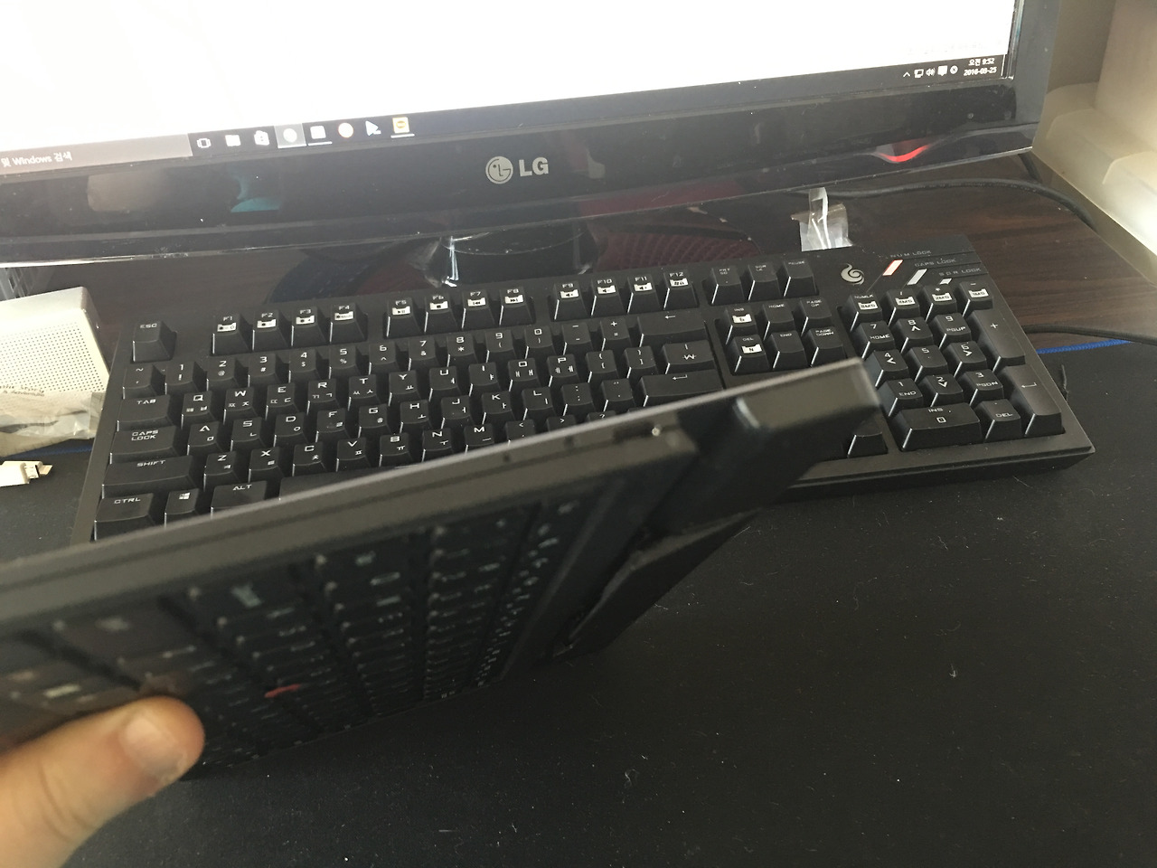 2016-03-25 09.52.51.jpg