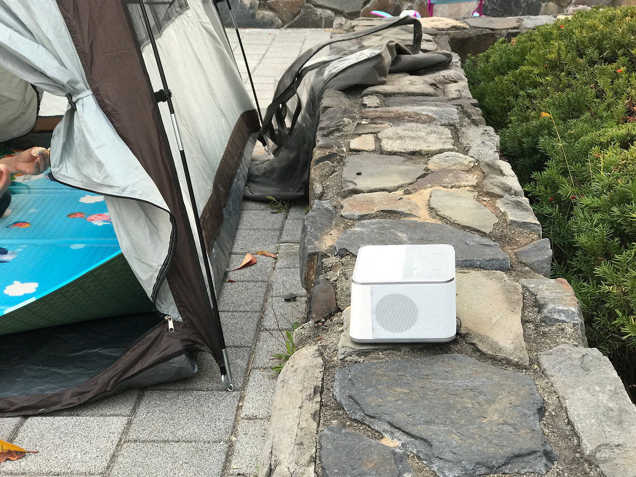 2016-11-05 15.57.33.jpg