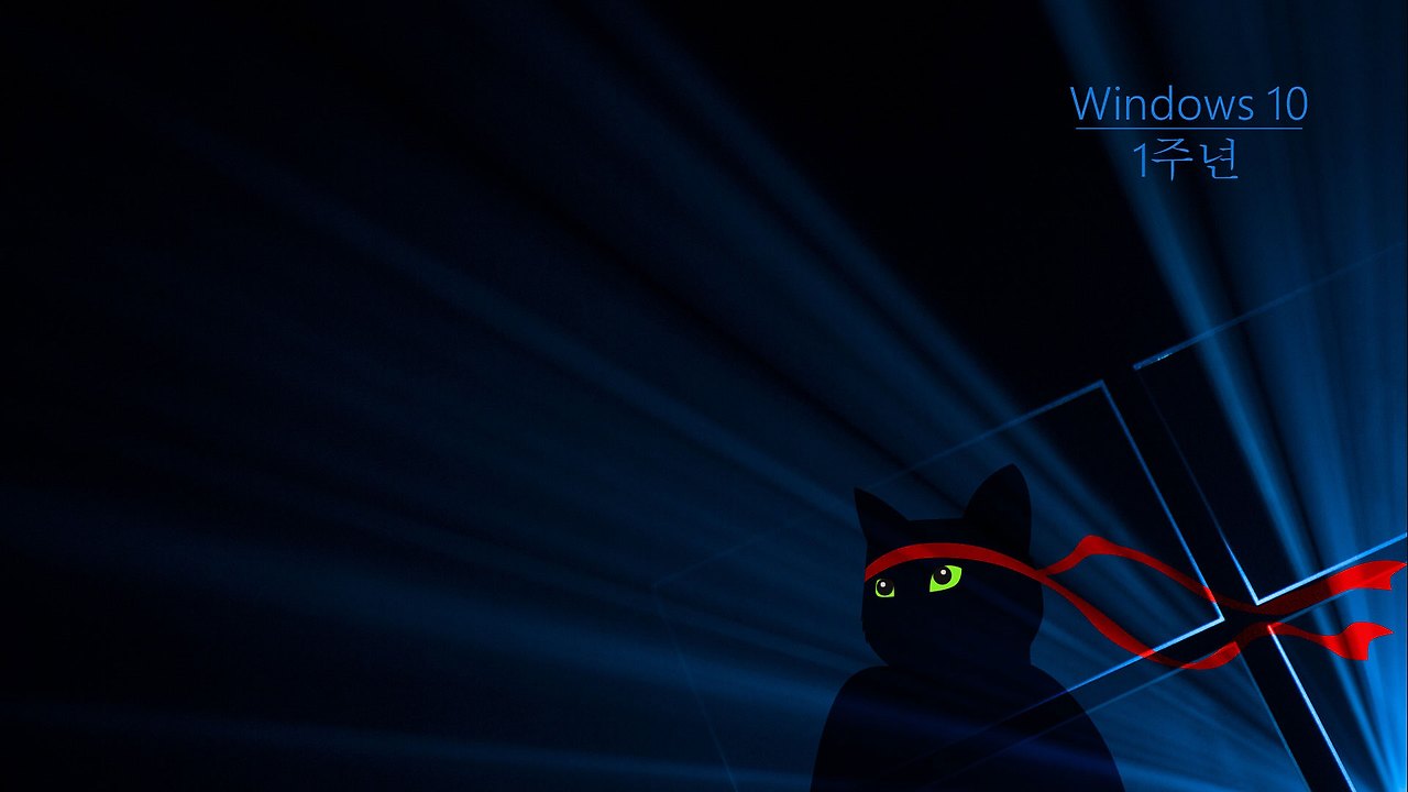 Windows_Insider_Anniversary-Ninjacat-1920x1080-ko-KR.jpg