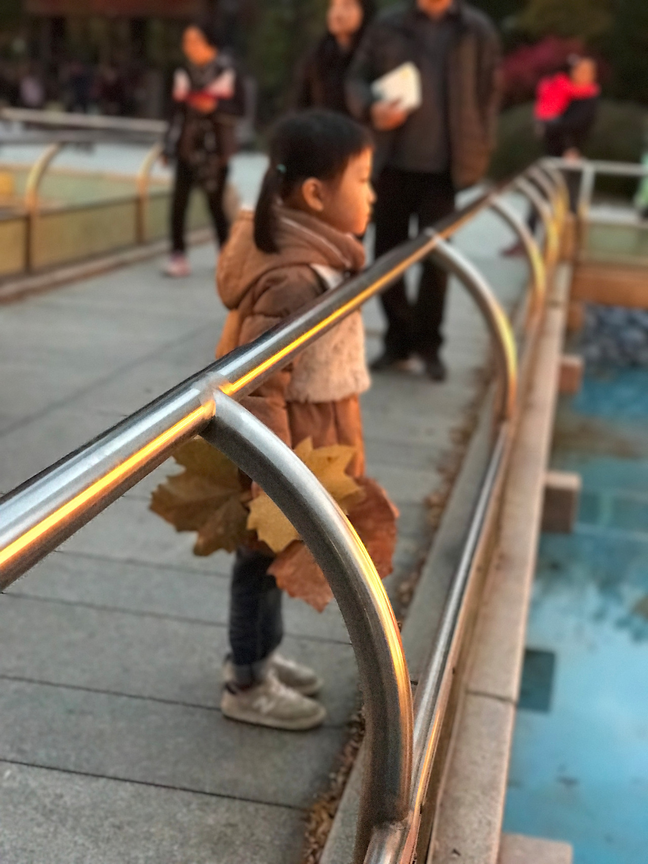 2016-11-06 17.33.48.jpg