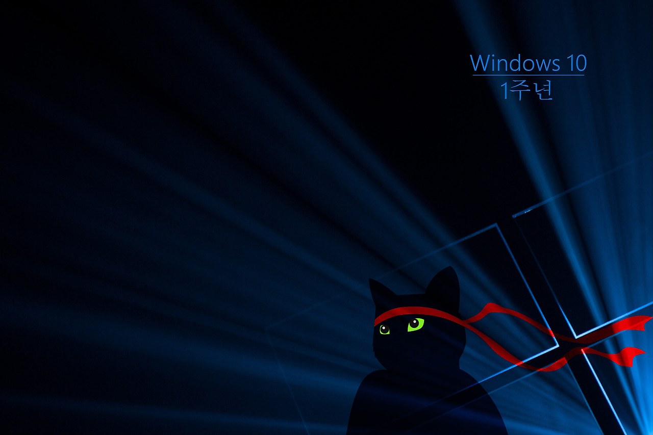 Windows_Insider_Anniversary-Ninjacat-2160x1440-ko-KR.jpg