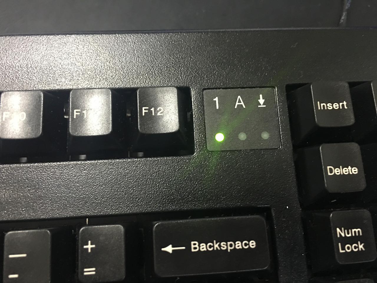 2016-02-26 12.56.13.jpg