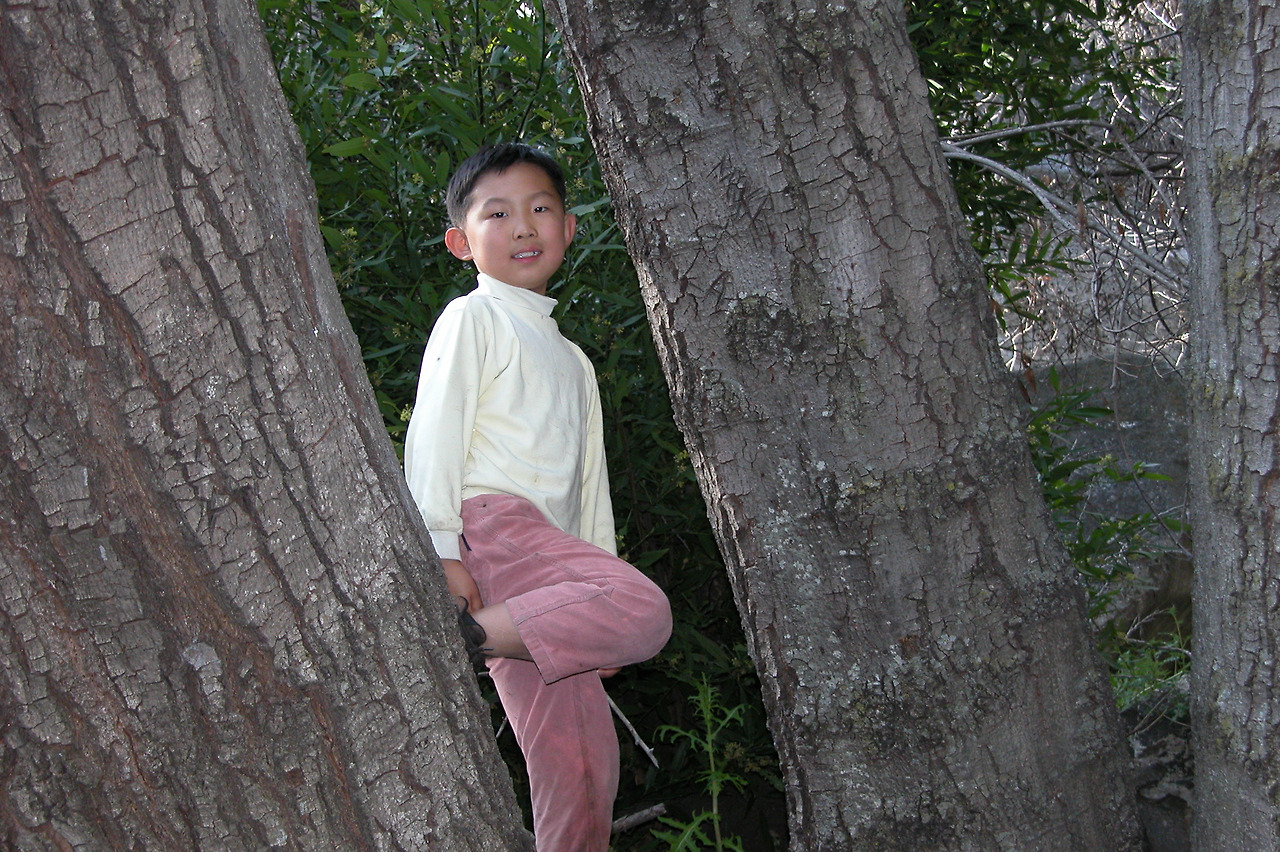 AngelesForest_2004 044.jpg