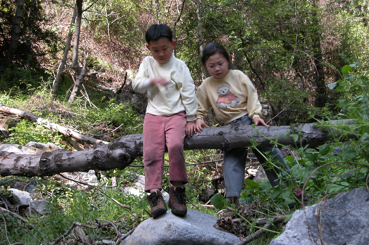 AngelesForest_2004 018.jpg