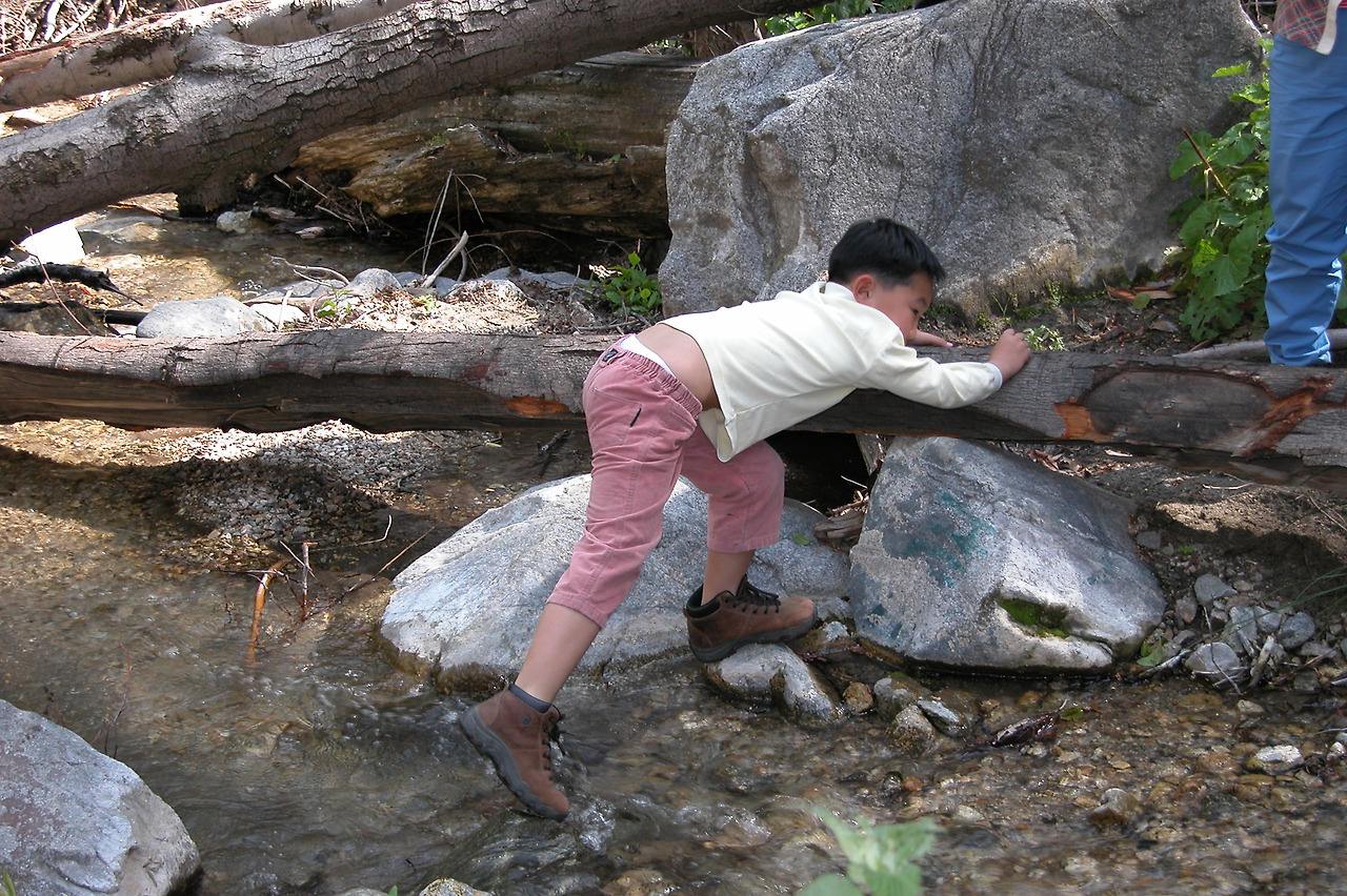 AngelesForest_2004 006.jpg