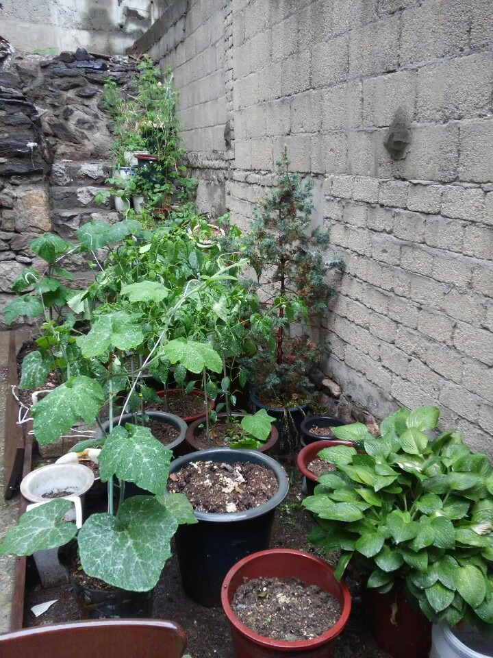 2015-04-21 19;44;56.jpg