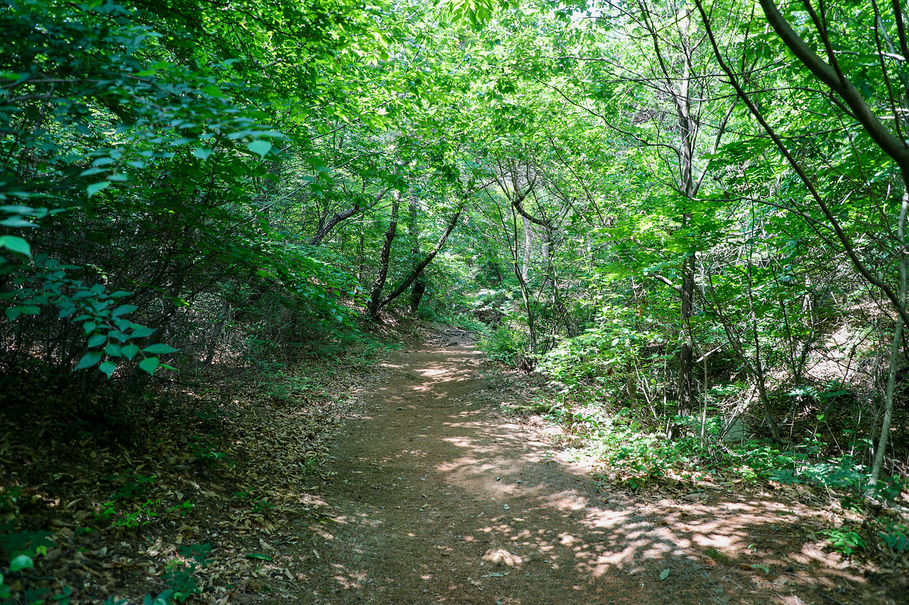 남산-34.jpg