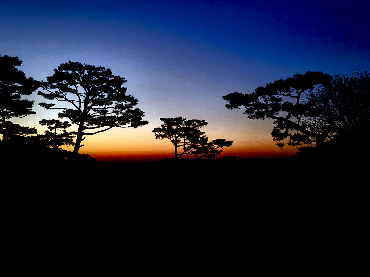 김수향_맥박의 시작1.jpg