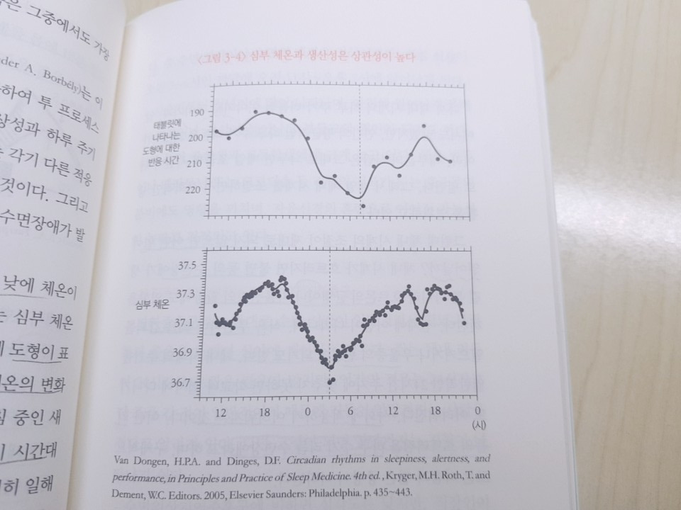 체온과 생산성 그래프.jpg