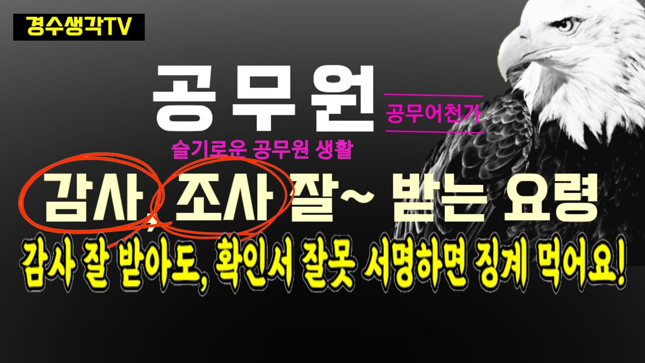 공무원감사 공무원조사 감사받는요령 조사받는요령 슬기로운공무원생활.jpg