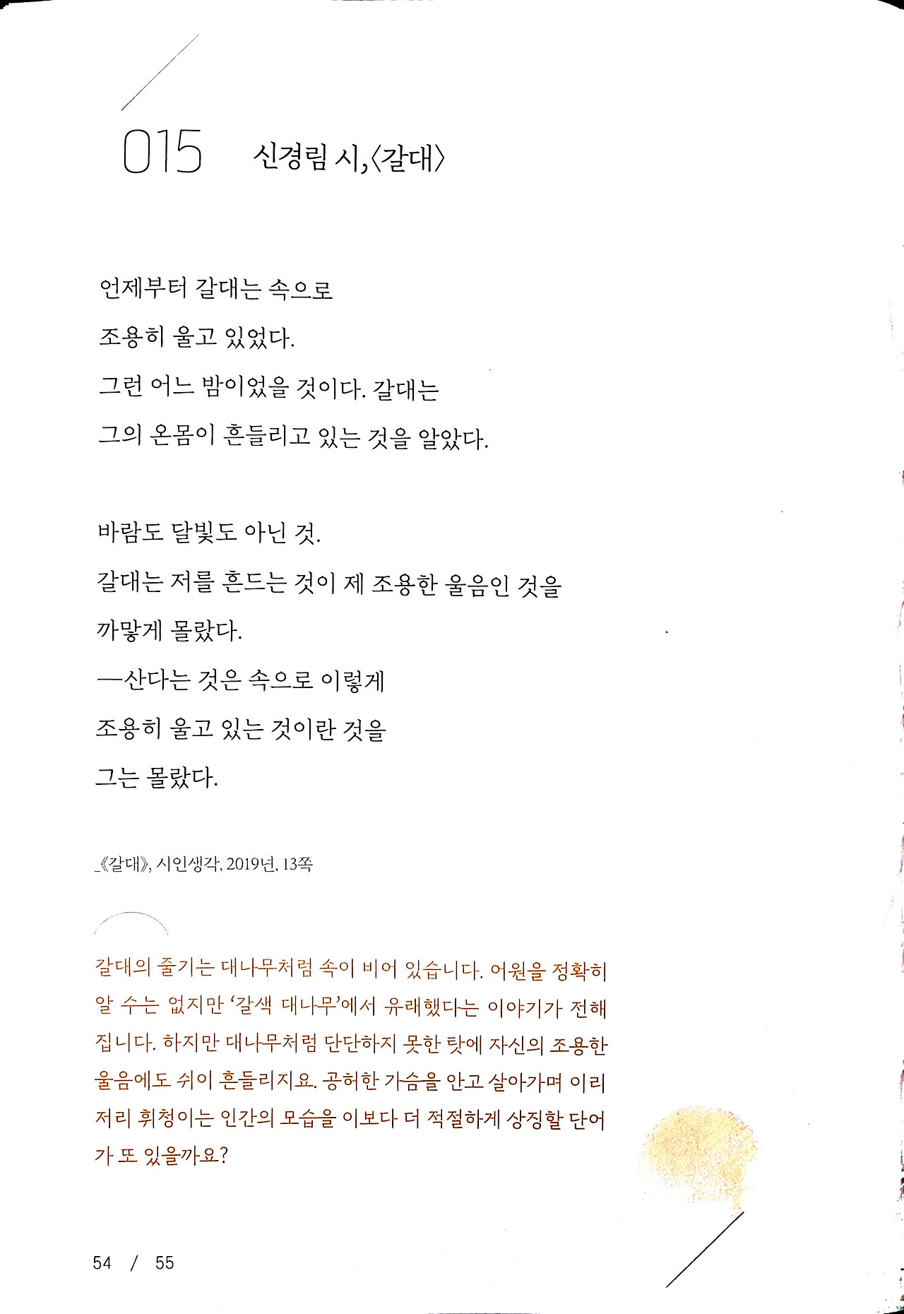 신경림 갈대.jpg