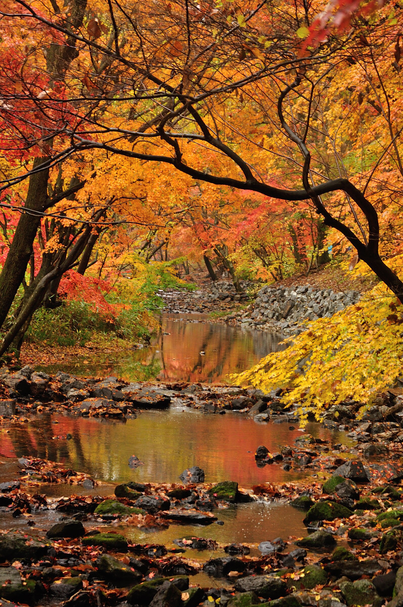 다운로드 (4).jpg