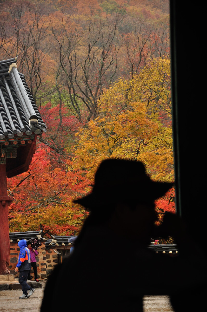 다운로드 (2).jpg