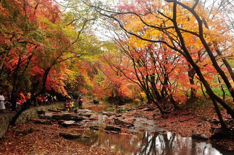 다운로드 (3).jpg