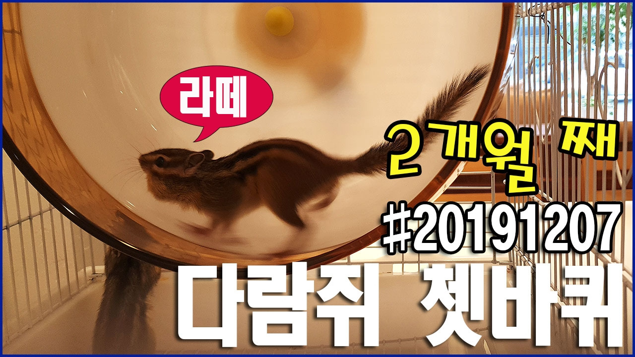 1280-표지이미지 - 복사본 복사.jpg