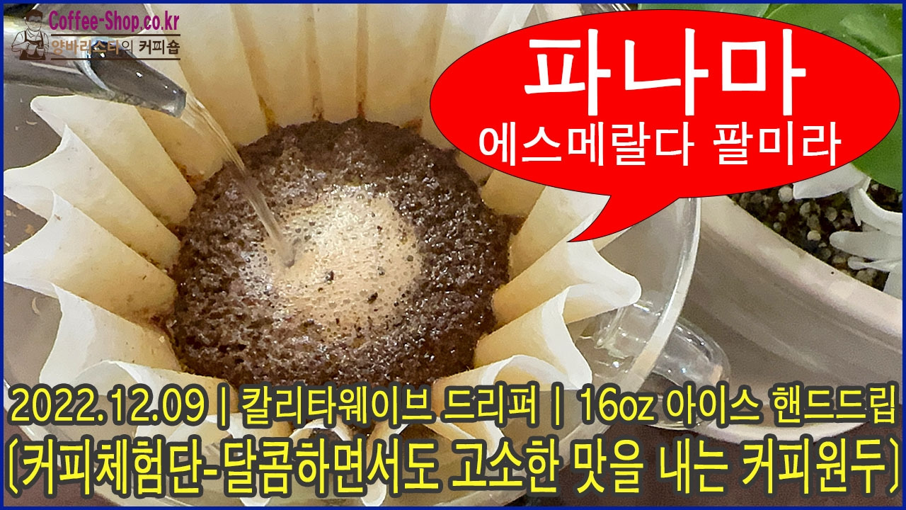 20221209-파나마-팔미라-칼리타웨이브-아이스 복사.jpg