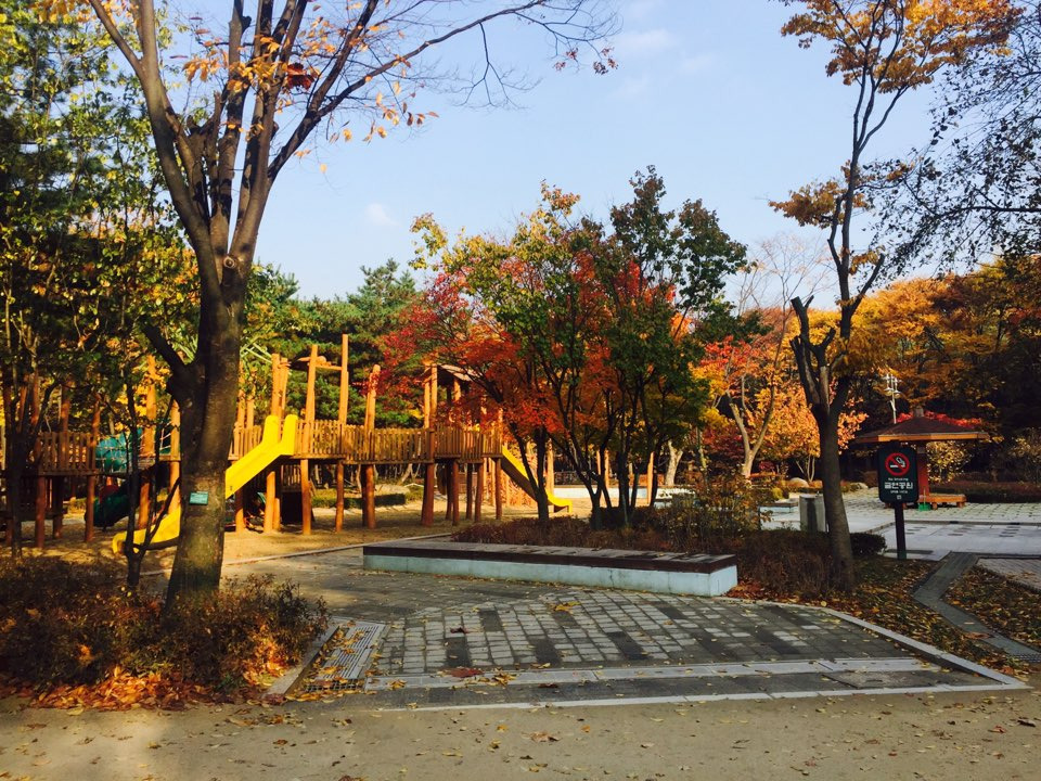 서울 가을 단풍구경 하기 좋은 곳 - 양재 시민의숲 11.jpg