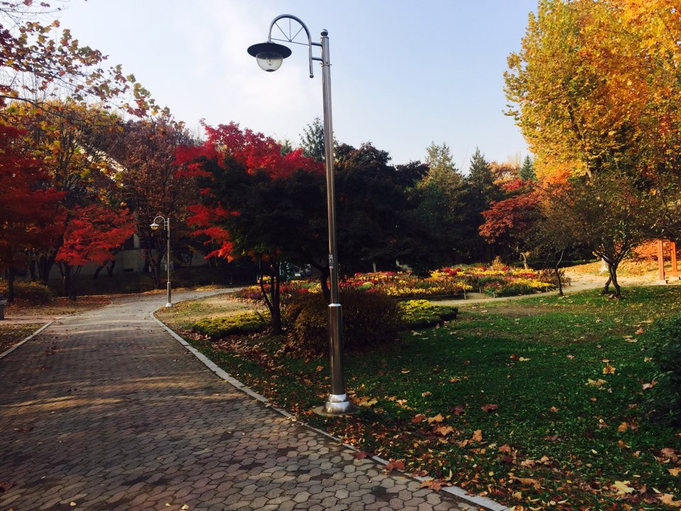 서울 가을 단풍구경 하기 좋은 곳 - 양재 시민의숲 22.jpg