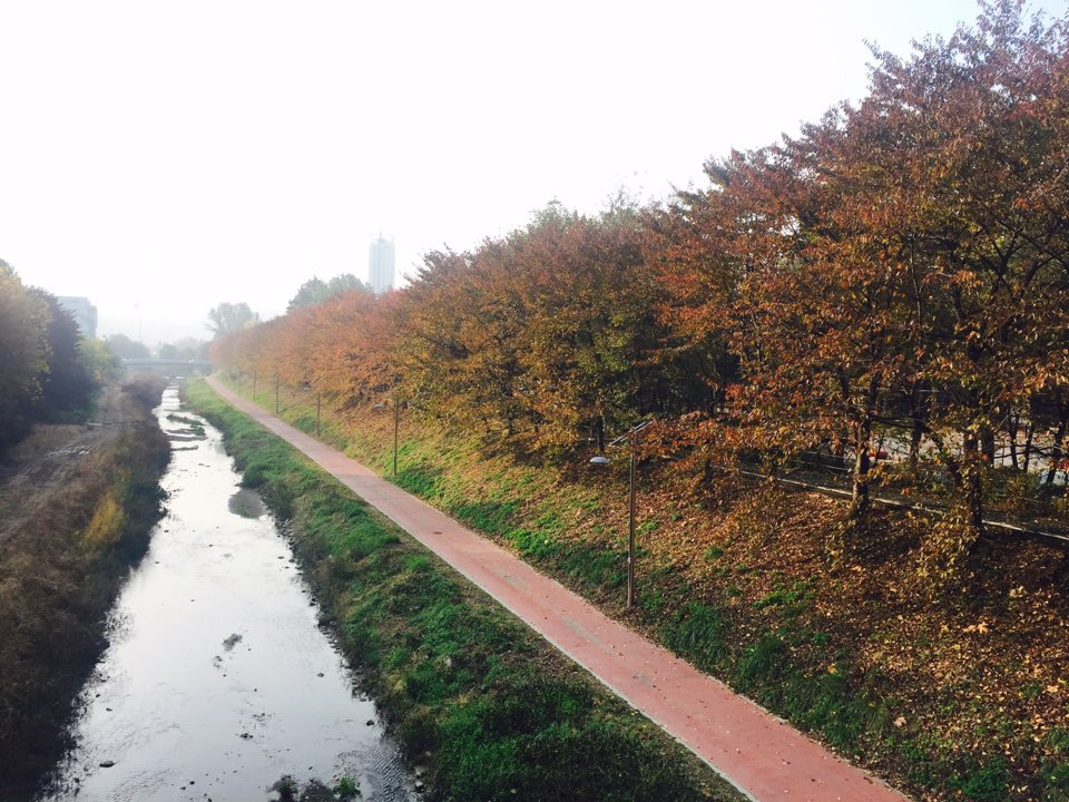 서울 가을 단풍구경 하기 좋은 곳 - 양재 시민의숲 2.jpg